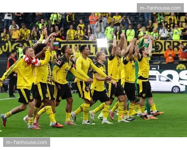 门兴格拉德巴赫主场1-2不敌弗赖堡，塔巴科维奇破门难救主